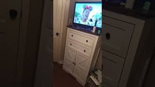 Roar Song By Katy Perry In The Backgroumd