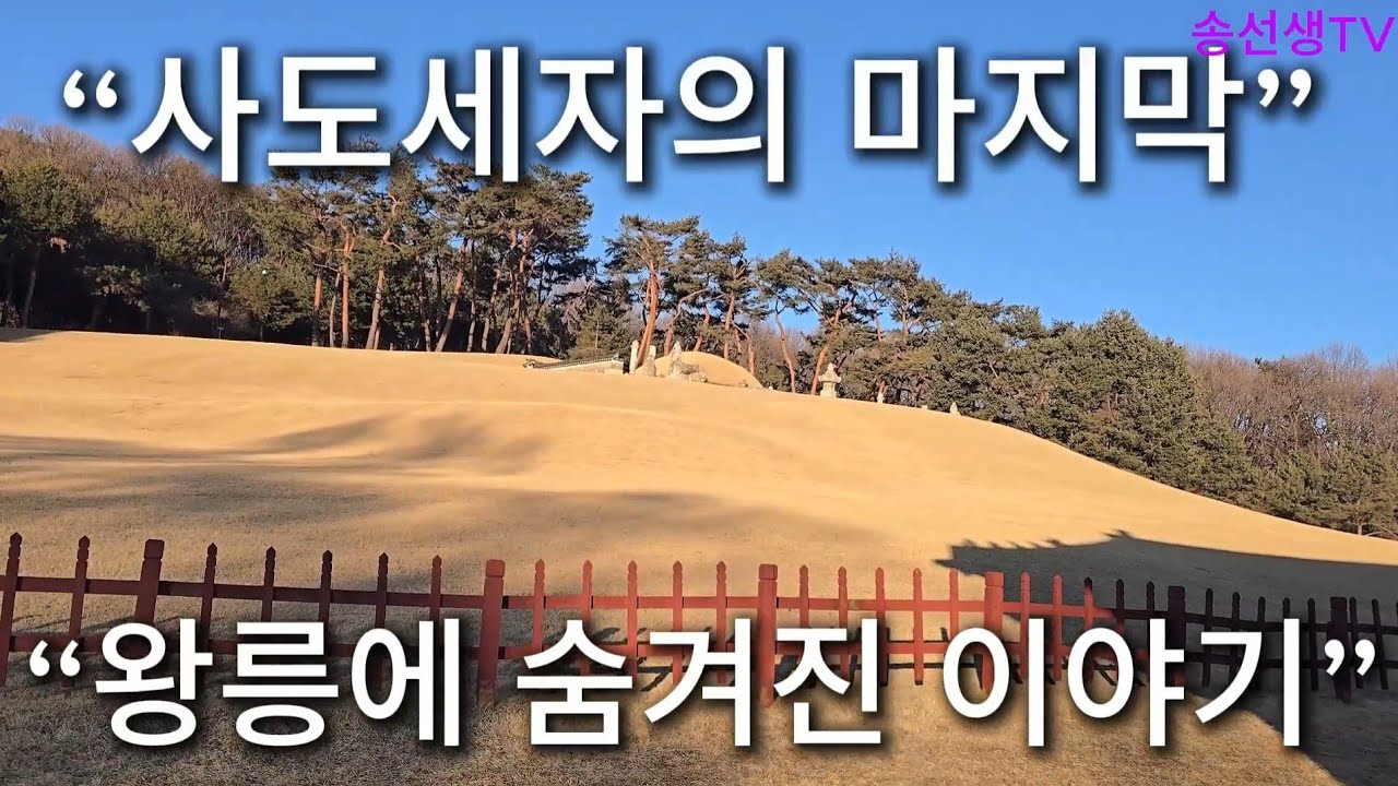 정조는 왜 아버지를 이곳에 모셨을까? | 화성 융릉·건릉 역사기행”