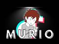 TIKTOK MURIO