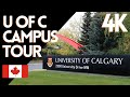 4K | University of Calgary Campus Tour under COVID Second Lockdown | Winter Walk | Ambiance