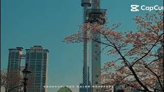 story wa 20 detik korea