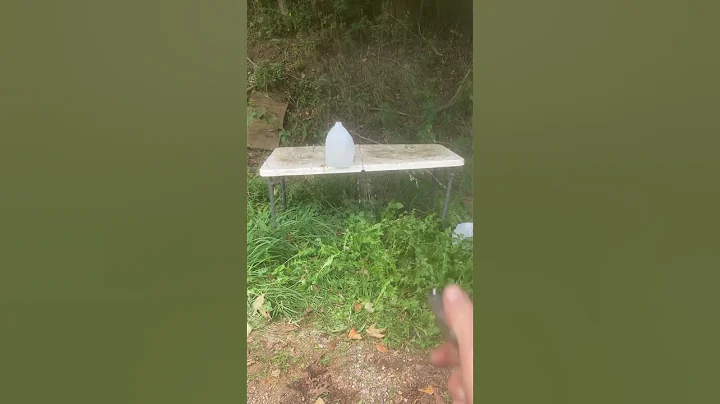 NAA Sentinel (22lr.)