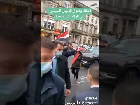 بنحبك ياسيسي