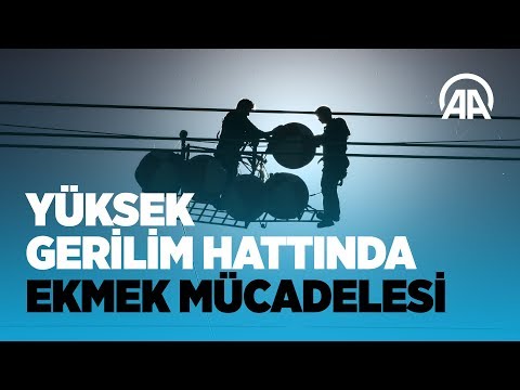 Yüksek gerilim hattında ekmek mücadelesi