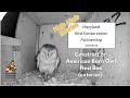 How to Construct a Barn Owl Nest Box - Exterior Box Construction