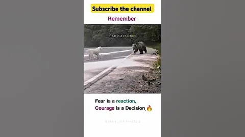 Don't take wrong decisions #motivation #shortsfeed #createyourownfuture