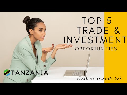 Business Opportunities in East Africa | Top 5  Trade and Investment Opportunities in Tanzania