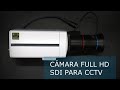 Cámara Full HD SDI para CCTV Profesional