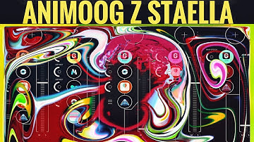 Sounds by ANIMOOG Z - Visuals by STAELLA