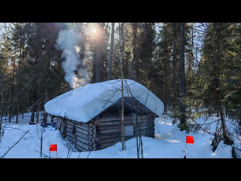 ЕЛЕ ДОБРАЛИСЬ ДО ИЗБЫ. РЫБАЛКА В ТАЙГЕ, ДИКИЙ ЖОР ЩУКИ! ГОТОВИМ КОТЛЕТЫ ИЗ РЫБЫ.