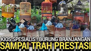 CUMA KIOS KECIL ! KAKEK INI JUALAN APA ADANYA, BRANJANGAN JAVANICA DI PASAR BURUNG PRAMUKA