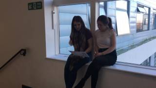 IMG 7153