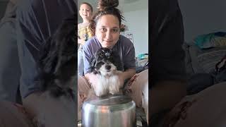 puppy drummer ♥️ 😍