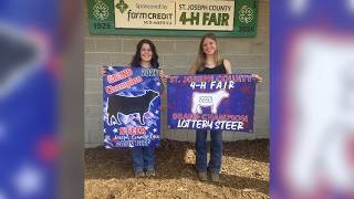 Best friends win grand champion steers at St. Joseph County 4-H Fair