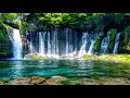 Water flow in the scene (HD1080p)