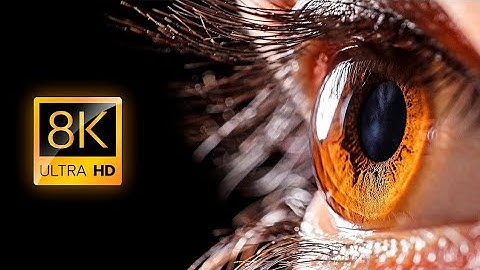 Everyday Objects in Macro in 8K ULTRA HD / 8K TV