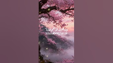 ارح سمعك و قلبك 🤍 قرآن كريم 🤍 اكتب شيئا تؤجر عليه 🤍