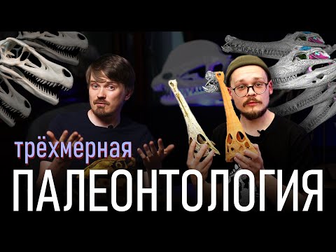 Томография, 3d сканирование и печать | Лабораторные методы в палеонтологии