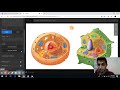 How To Make An Interesting Visual Lesson Using Thinglink Com Plant Cell Vs Animal Cell How To Make An Interesting Visual Lesson Using Thinglink Com Plant Cell Vs Animal Cell