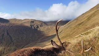 Last Deerstalking of the season  Scottish red deer 2022