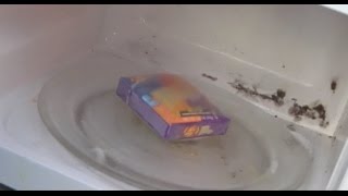 Microwaving Bean Boozled 2014