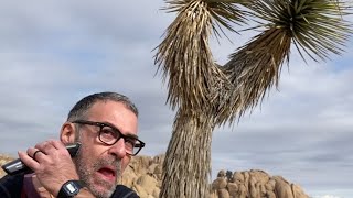 JOSHUA TREE National Park Shave  #shaving #joshuatree #nationalpark #nature by RYL G 284 views 10 months ago 2 minutes, 45 seconds