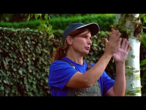 Video: Trávnik - Stočený A Siatie, živé Ploty, Výsadba Veľkých Stromov, Kvetinové Záhony - Prvky Vašej Záhrady