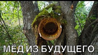 видео: МЁД ИЗ БУДУШЕГО картинка: МЁД ИЗ БУДУШЕГО