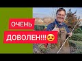 Это просто ЧУДО!🔥//Лучшая покупка для сада в этом сезоне!🥰👨‍🌾🍀