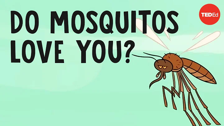 Do mosquitos actually bite some people more than others? - Maria Elena De Obaldia - DayDayNews