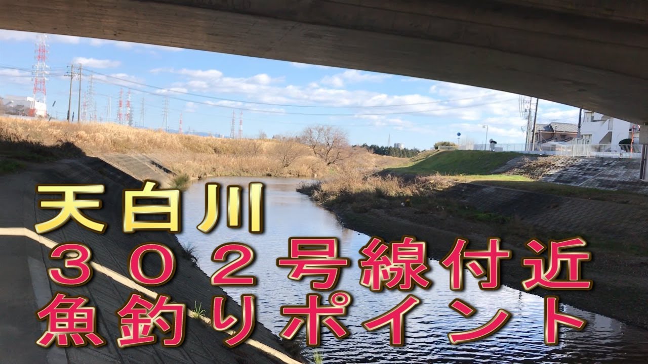 天白川 魚釣りポイント ３０２号線付近 名古屋市魚釣りポイント 小魚 ブラックバス釣り Youtube