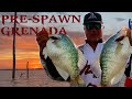 Crappie Masters Day 1 Grenada Lake 2021