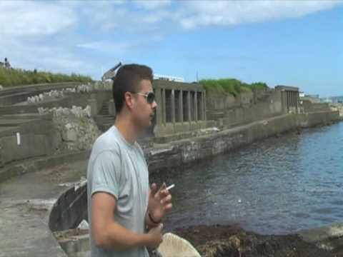 kissfilm: sirály