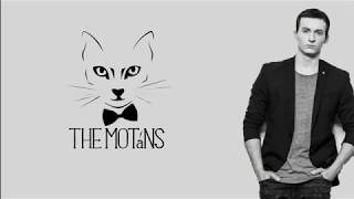 The Motans - Mr. Tort | (Lyrics)