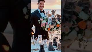 Purrfect Date By The Ocean