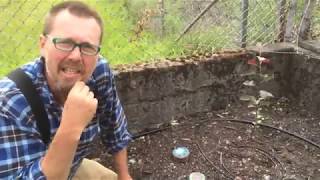 Pendragon And The Womens Sanctuary Garden