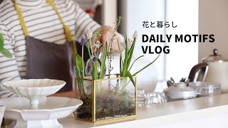 |Everyday life with flowers|Time spent alone|Lifestyle in your 60s| #60s #Seniorlife #vlog