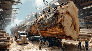 Inside the World's Mega Mills: How the Largest Sawmills Process Millions of Logs