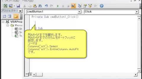 エクセルＶＢＡ　見聞学　行と列の操作　列幅の自動調整