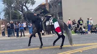 Salinas California Rodeo Horse Parade 2023