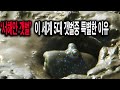 한국의 갯벌이 세계 5대 갯벌인 이유, &quot;갯벌을 지켜야하는 상황&quot;