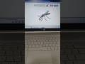 Mosquito 🦟 Ms Word Shortcut Tricks #shorts #virlshort #computer #tranding #tricks