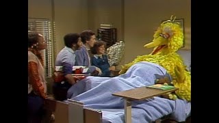 Sesame Street - Episode 1255 (1979)