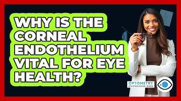 Why Is The Corneal Endothelium Vital For Eye Health? - Optometry Knowledge Base