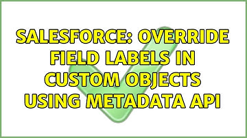 Salesforce: Override field labels in custom objects using Metadata API