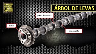 Camshaft and valve train - Preparing stock engines for competition 14