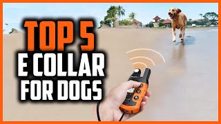 ✅ Top 5 Best E Collar for Dogs in 2024 by PetLabs 86 views 1 month ago 5 minutes, 34 seconds