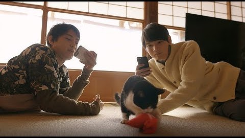 映画『劇場版 ねこ物件』ショート予告 猫に癒されるイケメン篇