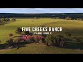 [SOLD] Five Creeks Ranch | Athens, TX | 1571+/- Acres