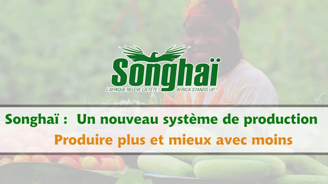 A la Découverte du Centre Songhaï